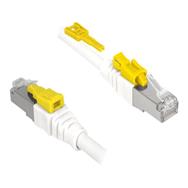 Delock Secure - Câble patch - RJ-45 (M) vers RJ-45 (M)