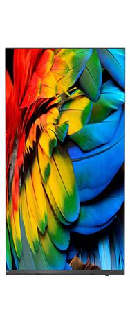 Téléviseur intelligent 4K 75" Philips 75HFL6214U