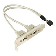 Panneau USB Delock - Connecteur USB 10 broches (M) vers USB (F)