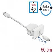 Câble USB Delock - USB (M) vers Micro-USB Type B (M)