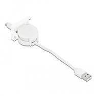 Câble USB Delock - USB (M) vers USB-C (M) 24 broches