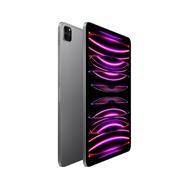 iPad Pro 4e génération 11 pouces Wi-Fi 512 Go - Gris