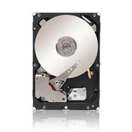 Lenovo 1TB 7.2K NL SAS 2.5" HS - 1 TB - 7200 RPM - 2.5" - NL-SAS
