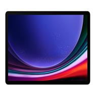 Samsung Galaxy Tab S9 - Tablet