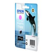 C13T76064010