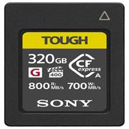 Carte mémoire flash Sony CEA-G320T