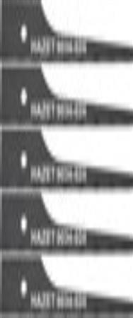 HAZET 9034-024/5 Lames de scie sabre universelles (5 pièces)