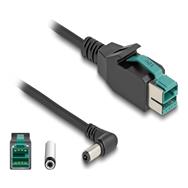 Câble Delock PoweredUSB - USB PlusPower (12 V) (M) vers prise CC 5,5 x 2,5 mm (M) coudée