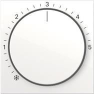 270603