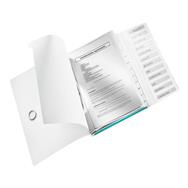 Dossier de classification Esselte Leitz WOW