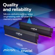 Crucial Pro - DDR5 - Module - DIMM - 32 Go - DDR5