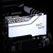 G.Skill DIMM 96 Go DDR5-6000 Silver TZ5 Royal Neo
