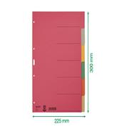 Esselte Leitz 43580000 - Blank tab index - Cardboard - Multicolour - Portrait - 230 g/mÃ‚Â² - 225 mm