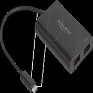 Adaptateur Delock USB Type-C vers 2 x DisplayPort 4K 60 Hz - Adaptateur - Numérique