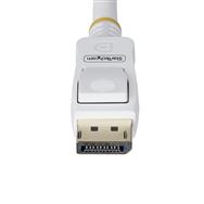 DP12-CABLE-10FTW