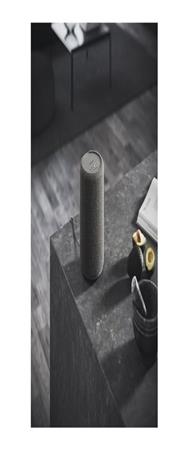 Audio Pro ENCEINTE CONNECTÉE A10 MKII DG
