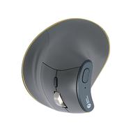 Bakker Elkhuizen Mouse FastForward Souris verticale 3 modes au détail