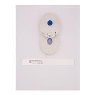 Brother LWEAB279PWG - White - Self-adhesive printer label - 27.9 cm - 2.5 cm - 1 pc(s) - 200 pc(s)