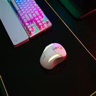 Souris sans fil Turtle Beach Kone II Air blanche