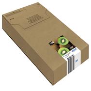 Encre Epson 02/Multipack 5 couleurs 202 EasyMail - Rendement standard - 6,9 ml - 4,1 ml - 1 pièce(s)