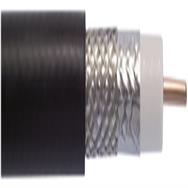 215500012