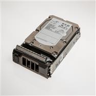 Origin Storage 10TB 7.2K P/Edge R/Tx10 Series 3.5in Nearline SAS HS HD w/Caddy - 10 TB - 7200 RPM - 256 MB - 3.5" - NL-SAS