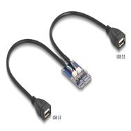 Adaptateur Delock Mini PCIe pleine taille vers 2xUSB 2.0 Type-A femelle - Adaptateur - Numérique