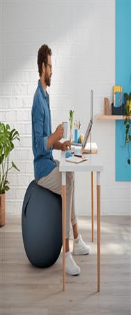 Esselte Leitz Ergo Sitzball Cosy grau