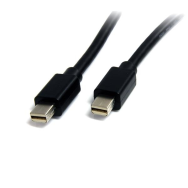 Câble StarTech MDISP2M Mini DisplayPort 2 m 4K