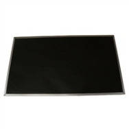 Écran Lenovo 04X0888 Noir 39,6 cm (15,6") Full HD