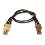 STACK-T1-1M StackWise 480 - Câble d'empilage