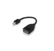 Adaptateur Lenovo DisplayPort Mini DisplayPort W