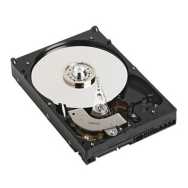 Disque dur Dell 500 Go 3,5" SATA 7 200 tr/min - 3,5" - 500 Go - 7 200 tr/min