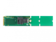 Adaptateur Delock M.2 Key M vers SFF-8643 NVMe