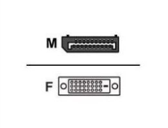 Wyse DisplayPort till DVI-adapter för 3030 och D-Z klass