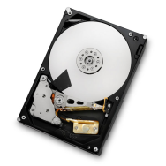 HGST WD Ultrastar 7K3000 HUA723030ALA640 3 To