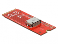 Adaptateur d'interface Delock - M.2 - Carte M.2 NVMe - 64 Gbit/s - PCIe 4.0 x4