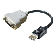 Display-Adapter - DisplayPort (M) to DVI-D (W)