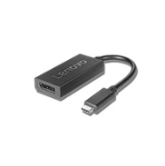 Adaptateur Lenovo DisplayPort USB-C 200 mm