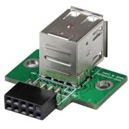 Adaptateur d'en-tête de carte mère StarTech 2 ports USB