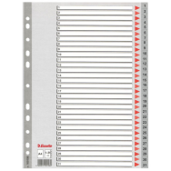 Esselte Leitz Plastic indexes - 225 mm - 297 mm