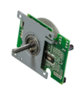 Ricoh AX060344 - Vert métallisé