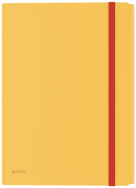 Esselte Leitz 46190019 - Drawing folder - A4 - Polypropylene (PP) - Yellow - Matt - 150 sheets