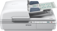 Epson WorkForce DS-6500 - 215,9 x 1016 mm - 1200 x 1200 DPI - 48 bits - 24 bits - Scanner à plat et chargeur automatique de documents - Blanc