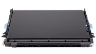 Ceinture noire HP CE710-69003