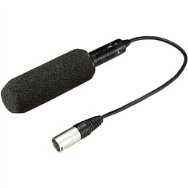 Panasonic AJ-MC900G - Microphone pour caméscope numérique
