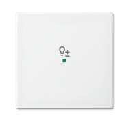 BUSCH JAEGER 2CKA006220A0359 Plastique blanc gratuit