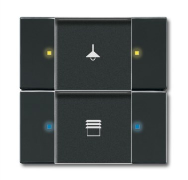 BUSCH JAEGER 6126/02-81 Anthracite brillant sans vis