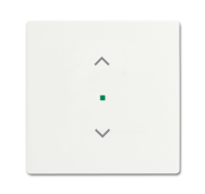 BUSCH JAEGER 2CKA006220A0483 Plastique blanc gratuit