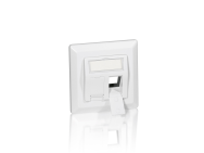 Plaque frontale allemande Equip 2 ports - Blanche - Toutes marques - 80 mm - 80 mm - 7,5 mm - 74 g